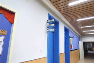 學校食堂食品安全引關注，官方回應 涉事蔬菜霉變，校長被免職